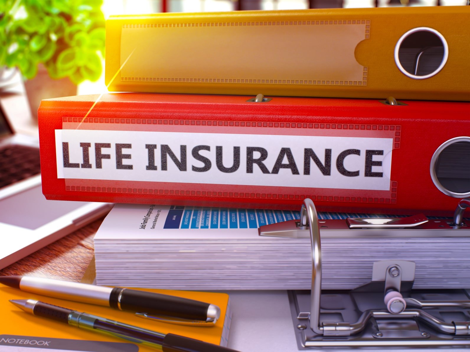 What Is Insurable Interest in Life Insurance?